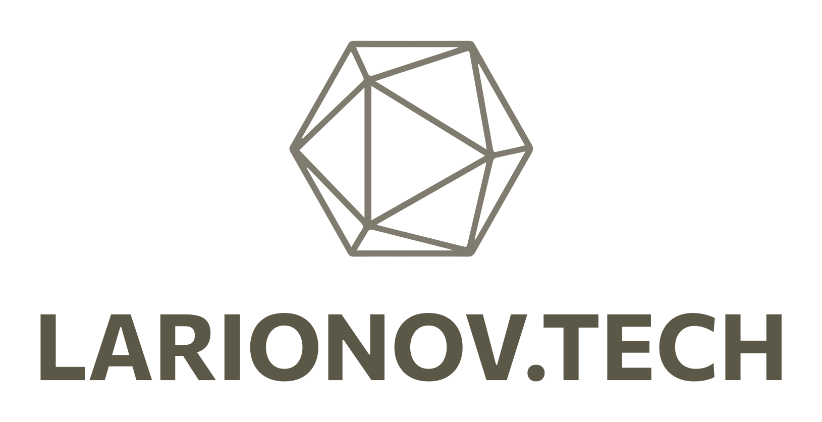 Larionov Tech